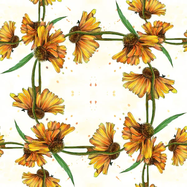 Žluté Květy Dekorativní Kompozice Akvarelovém Pozadí Bezproblémový Vzorec Rudbeckia Tapeta — Stock fotografie