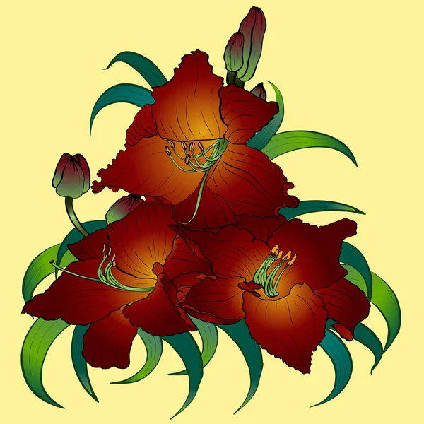 Flores Botões Folhas Vector Lily Arte Digital Floral Flores Amarelas —  Vetores de Stock