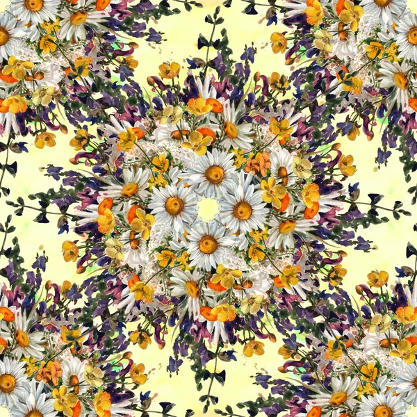 Seamless Pattern Wild Flowers Herbs Chamomile Flowers Decorative Composition Watercolor — Foto de Stock
