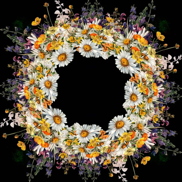 Naadloos Patroon Wilde Bloemen Kruiden Kamillebloemen Een Decoratieve Compositie Aquarelillustratie — Stockfoto
