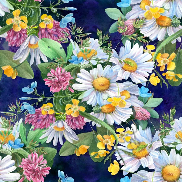 Płynny Wzór Dzikie Kwiaty Zioła Kwiaty Rumianku Kompozycja Dekoracyjna Ilustracja — Zdjęcie stockowe