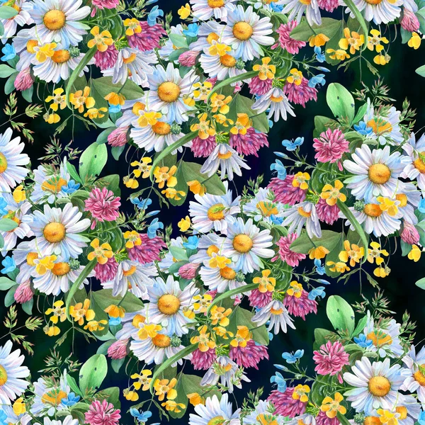 Seamless Pattern Wild Flowers Herbs Chamomile Flowers Decorative Composition Watercolor — Foto de Stock