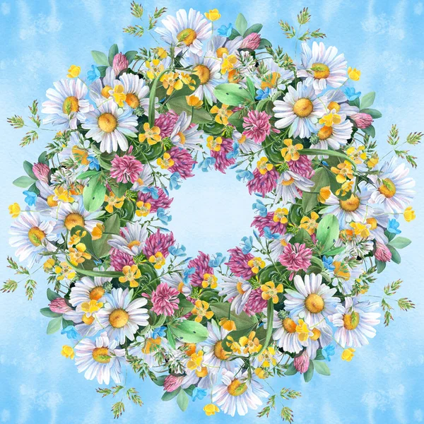 Kusursuz Desen Yabani Çiçekler Otlar Papatya Çiçekleri Dekoratif Bir Kompozisyon — Stok fotoğraf