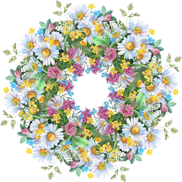 Nahtloses Muster Wildblumen Und Kräuter Kamillenblüten Eine Dekorative Komposition Aquarell — Stockfoto