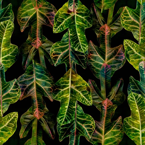 Leaves Watercolor Background Decorative Composition Plant Elements Croton Seamless Pattern — Stockfoto