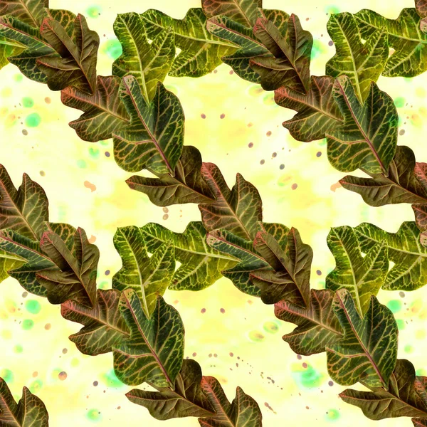 Leaves Watercolor Background Decorative Composition Plant Elements Croton Seamless Pattern — Φωτογραφία Αρχείου