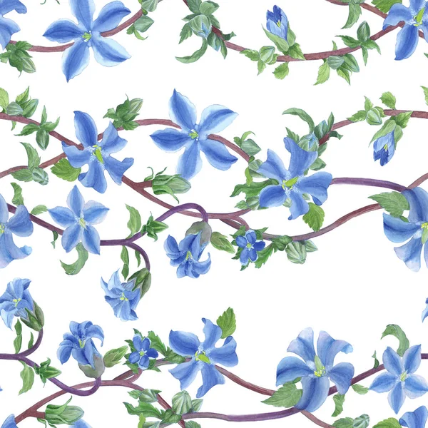 Las Flores Azules Patrón Transparente Acuarela Fondo Pantalla Abstracto Con —  Fotos de Stock