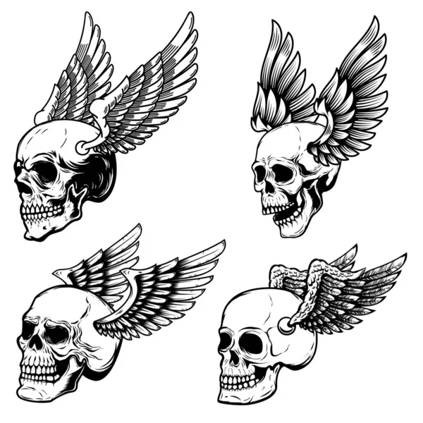 날개달린 두개골 세트가 흰색에 분리되어 엠블럼 사인을 디자인 일러스트 — 스톡 벡터