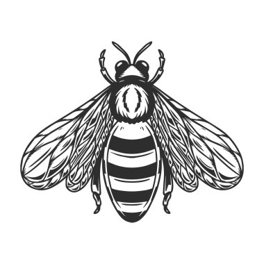 Beyaz arka planda kabartma stilinde bir arı tasviri. Poster ve tişört için tasarım malzemeleri. Vektör illüstrasyonu.