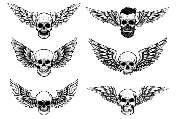 一组在白色背景上孤立的有翼颅骨的图解 标志的设计元素 矢量说明 — 图库矢量图片