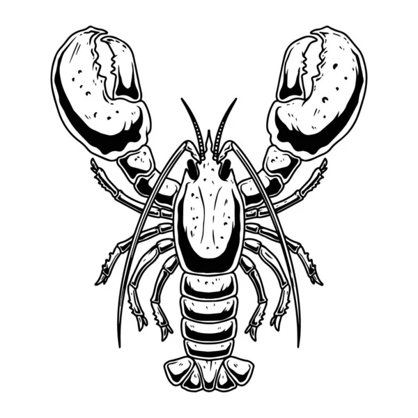 Ilustrasi Lobster Dengan Gaya Engraving Pada Latar Belakang Putih Unsur - Stok Vektor