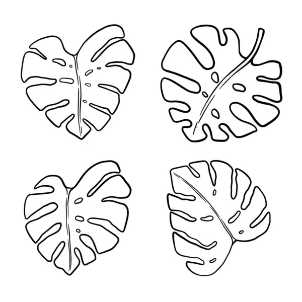 Bir dizi canavar yaprağı çizimi. Poster, kart, afiş ve el ilanları için tasarım elemanı. Vektör illüstrasyonu