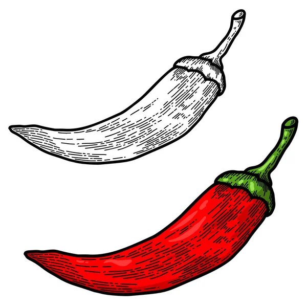 Illustration Chili Pepper Engraving Style Design Element Logo Label Sign — Vettoriale Stock