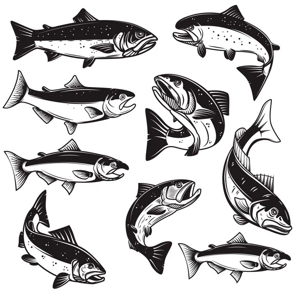 Set Illustrations Salmon Fish Engraving Style Design Element Logo Label — ストックベクタ