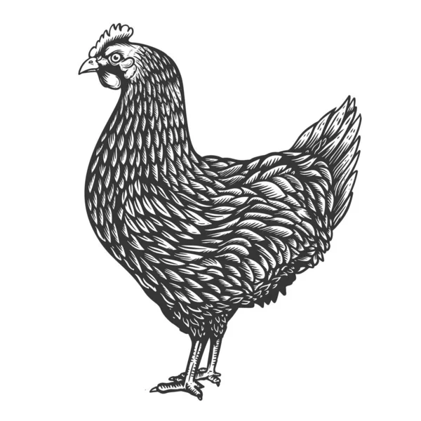 Εικονογράφηση Του Κοτόπουλου Στυλ Χαρακτικής Στοιχείο Σχεδιασμού Για Έμβλημα Σήμα — Διανυσματικό Αρχείο