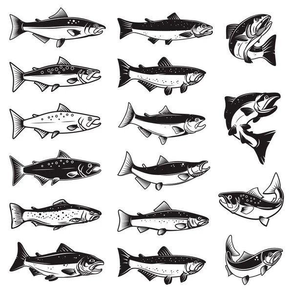 Set Illustrations Salmon Fish Engraving Style Design Element Logo Label — ストックベクタ