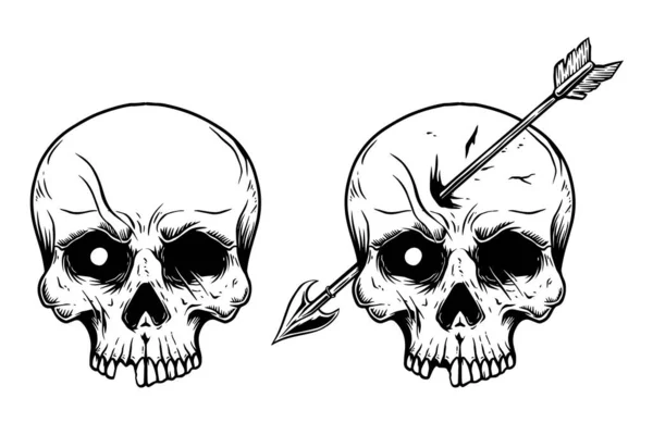 Ilustração Crânio Humano Com Seta Cabeça Elemento Design Para Logotipo — Vetor de Stock