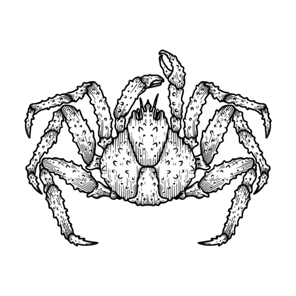 Ілюстрація Японського Краба Павука Елемент Дизайну Логотипу Етикетки Знака Емблеми — стоковий вектор