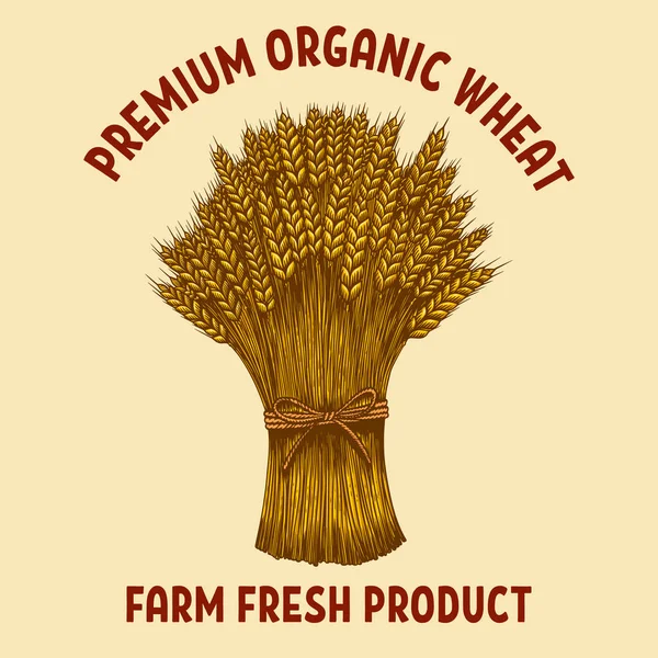 Premium Organic Wheat Illustration Sheaf Wheat Engraving Style Design Element — Vector de stock