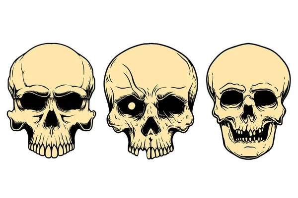 İşleme tarzında insan kafataslarının tasvirleri. Amblem, işaret, poster, kart, afiş, el ilanı için tasarım ögesi. Vektör illüstrasyonu