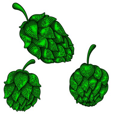 İşleme tarzında bira sektirme seti. Logo, etiket, tabela, poster ve tişört için tasarım elemanı. Vektör illüstrasyonu