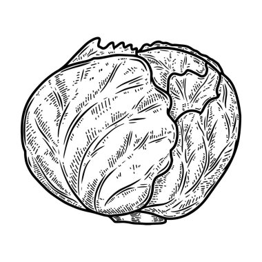 Kabak kabartma tarzında resmedilmiş. Logo, etiket, işaret, amblem, poster tasarımı. Vektör illüstrasyonu