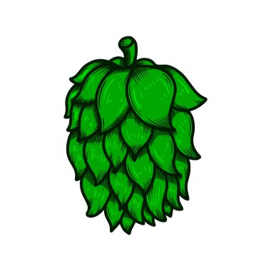 Oymacılık tarzında bira seksinin bir örneği. Poster, etiket, imza, amblem, menü için tasarım ögesi. Vektör illüstrasyonu