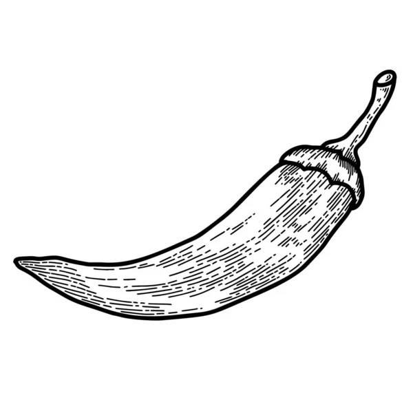 Иллюстрация Перца Чили Стиле Гравировки Элемент Дизайна Логотипа Этикетки Знака — стоковый вектор