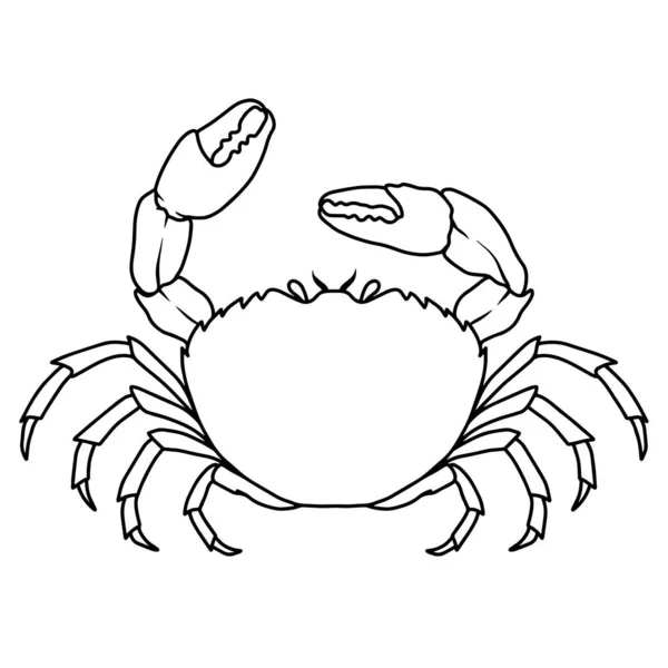 Illustration Crabe Mer Ligne Élément Design Pour Logo Étiquette Signe — Image vectorielle