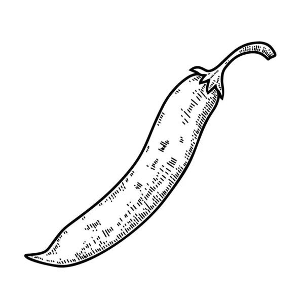 Illustration Chilli Pepper Engraving Style Design Element Logo Label Sign — Stock Vector