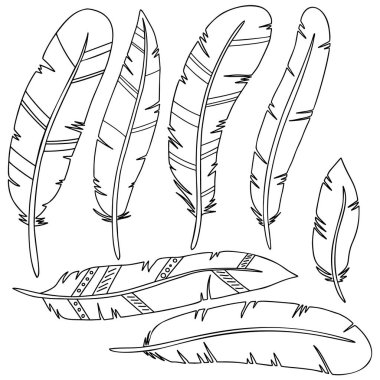 Beyaz arka planda izole edilmiş çizgi biçimindeki tüylerin çizimleri. Poster, kart, pankart, işaret, amblem için tasarım ögesi. Vektör resmi