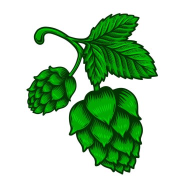 Biranın kabartma tarzında bir yansıması. Poster, etiket, imza, amblem, menü için tasarım ögesi. Vektör illüstrasyonu