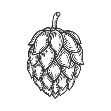 Oymacılık tarzında bira seksinin bir örneği. Poster, etiket, imza, amblem, menü için tasarım ögesi. Vektör illüstrasyonu