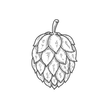 Oymacılık tarzında bira seksinin bir örneği. Poster, etiket, imza, amblem, menü için tasarım ögesi. Vektör illüstrasyonu