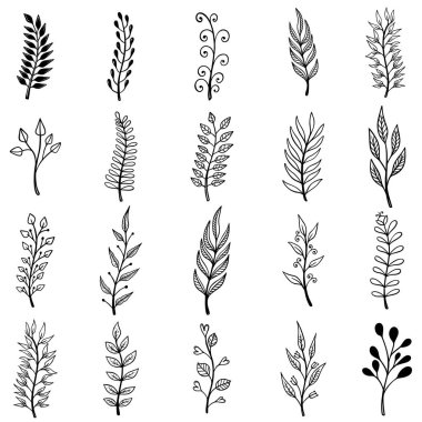 El çizimi çiçek tasarımı elementleri. Poster, etiket, imza, amblem, menü için tasarım ögesi. Vektör illüstrasyonu