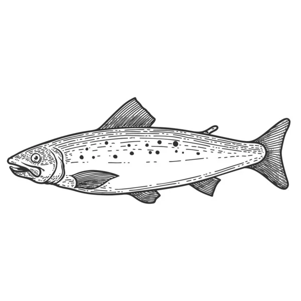 Illustration Von Forellenfischen Stich Stil Gestaltungselement Für Plakat Etikett Schild — Stockvektor
