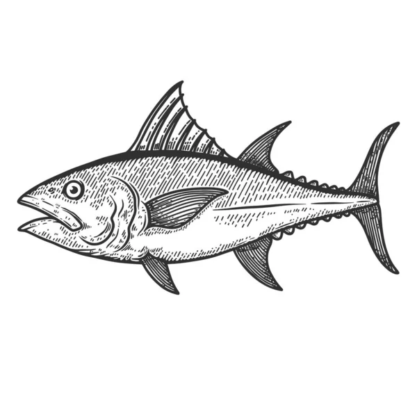 彫刻スタイルでマグロの魚のイラスト ラベル サイン ポスター Tシャツのデザイン要素 ベクターイラスト — ストックベクタ