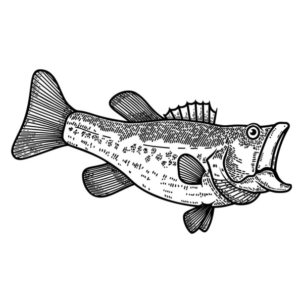 Ilustração Peixe Baixo Estilo Gravura Elemento Design Para Logotipo Rótulo — Vetor de Stock