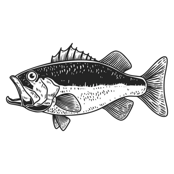 Иллюстрация Бас Рыбы Стиле Гравировки Элемент Дизайна Логотипа Этикетки Знака — стоковый вектор