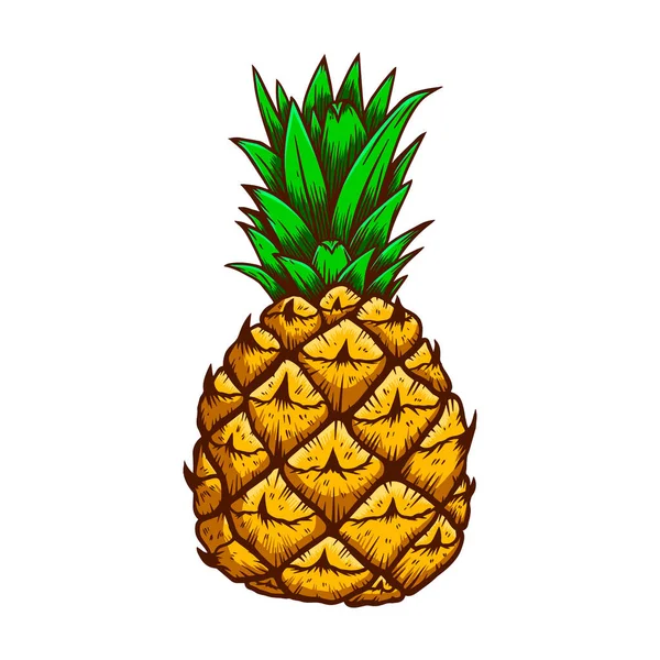 Illustration Ananas Style Gravure Élément Design Pour Logo Étiquette Emblème — Image vectorielle