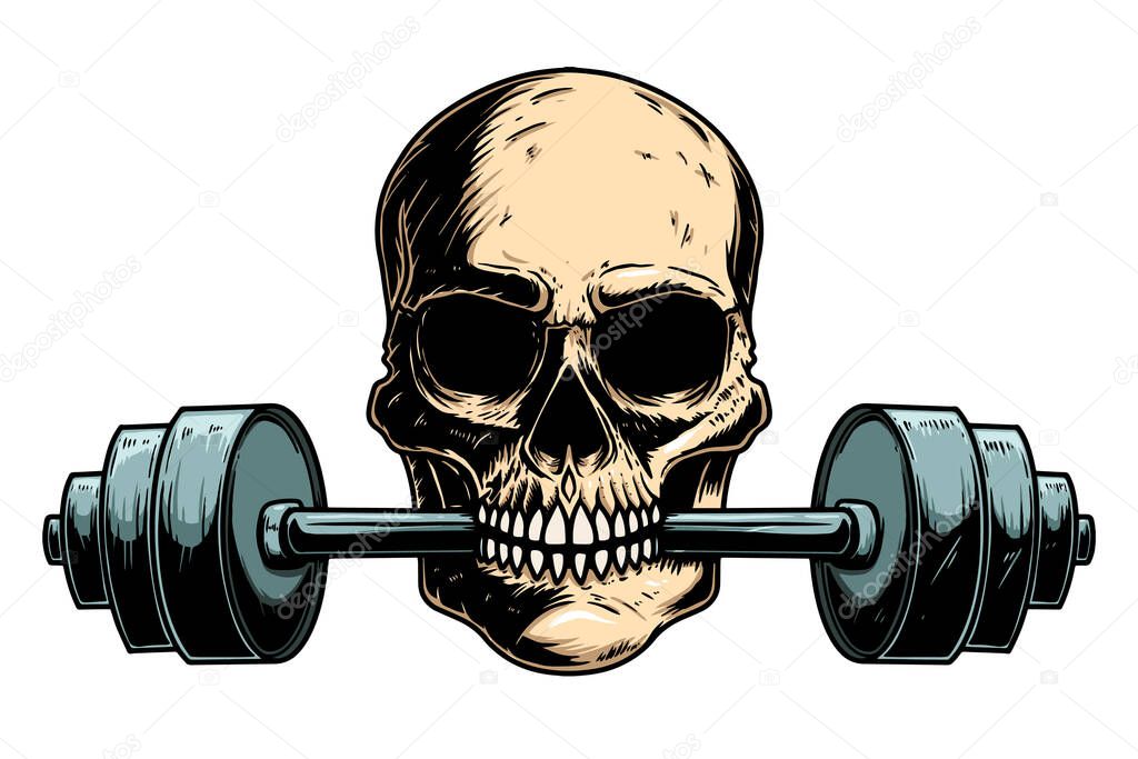 Illustration of human skull with barbell in his teeth. Design element for poster, card, banner, emblem, t shirt. Vector illustration