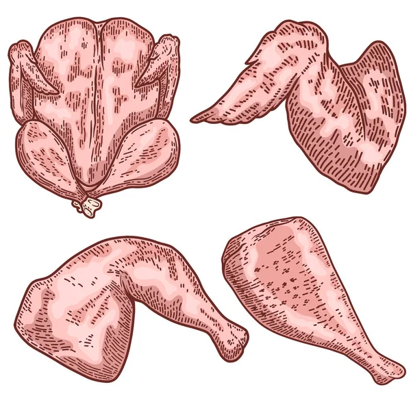 Illustration Von Schnitten Von Hühnerfleisch Stich Stil Hühnerflügel Beine Gestaltungselement — Stockvektor