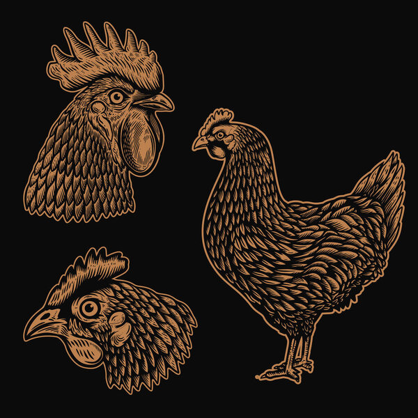 Set of Illustrations of rooster, chicken in engraving style. Design element for logo, label, sign, poster, t shirt. Vector illustration