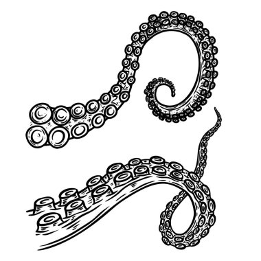 Ahtapot seti, işleme tarzında mürekkep balığı dokunaçları. Logo, etiket, amblem, işaret, rozet tasarımı. Vektör illüstrasyonu