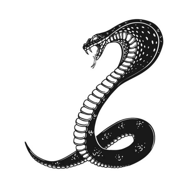 Ilustração Cobra Venenosa Estilo Gravura Elemento Design Para Logotipo Etiqueta —  Vetores de Stock