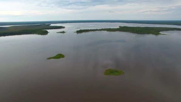 Vzlet Nad Jezerem Natáčení Dronu Který Vzlétl Nad Jezerem Jezero Royalty Free Stock Záběr