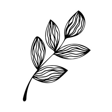 Karalama stili Vektör illüstrasyonunda bırakır. Beyaz arkaplanda el çizimi sanat yaprakları.