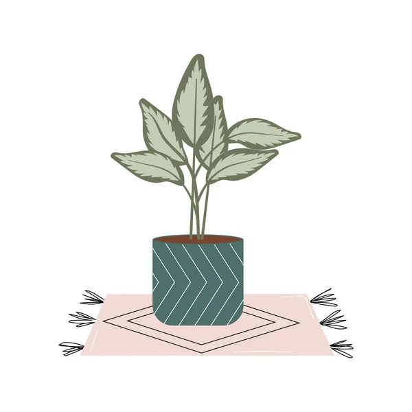 Pianta Casa Vaso Con Grande Foglia Verde Vettore Piatto Illustrazione — Vettoriale Stock