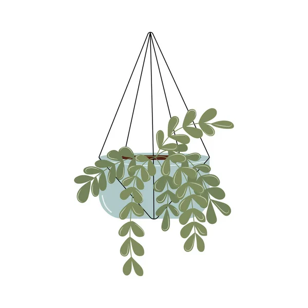 Pot Vert Vecteur Plante Intérieur Plat Illustration Décoration Intérieure Maison — Image vectorielle