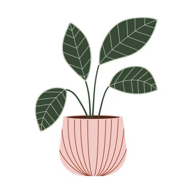 Büyük yeşil yaprak vektör düz resimli saksı evi bitkisi. İç tesisat. Kentsel orman dekorasyonu.